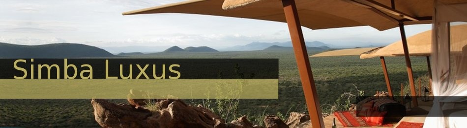 Luxury-Exclusive way to experience Kenya